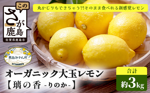 国産 オーガニック大玉レモン (璃の香) 約3kg B-879