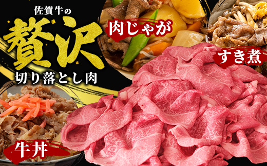 B-829 旨い！佐賀牛肩・モモ切り落とし 500g｜A5 A4等級 赤身 霜降り 黒毛和牛 大容量 万能肉 焼肉 すき焼き カレー用 牛丼 ストック おうち焼肉 ヘルシー ご褒美 高級肉 国産 和牛 ギフト 佐賀県鹿島市 送料無料