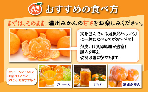 みかん 約5kg 佐賀県鹿島産 温州みかん サイズ混合 | 《先行受付11月上旬より発送予定》みかん ミカン 甘い 小玉含む フルーツ 果物 果実 くだもの 蜜柑 柑橘 国産 冬季 大容量 家庭用 贈答 お取り寄せ 佐賀県 鹿島市 A-190