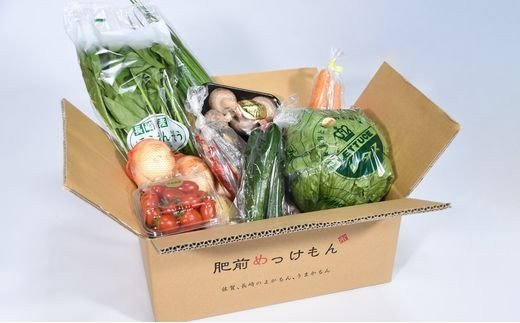 J-14  【１２ヶ月お届け】肥前の国のお野菜定期便