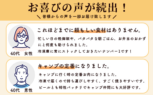 ビーフ&チキンやわらか焼肉(成型肉) 1kg×3袋【合計3kg】柔らかさと溢れる旨さが自慢のお肉 B-613