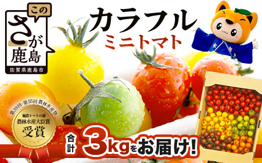 岩永さんちのカラフルミニトマト 約1kg（5色）【農林水産大臣賞受賞】有機肥料・化学肥料不使用｜生産者直送 野菜 とまと サラダ おやつ お弁当にも 健康志向  人気 【1月頃より配送開始】D-221
