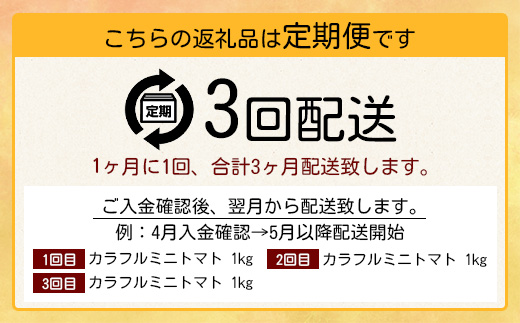 【先行予約】 カラフルミニトマト『Ricotomato』 【1kg×3回定期便】 【2026年1月から出荷】 E-58