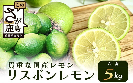 B-367 リスボンレモン【約5kg】メディアも注目の柑橘類の名人直送！レモン れもん 檸檬 果物 生搾り 料理 菓子 サワー お酒 国産 佐賀県鹿島市産 人気