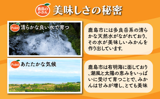 みかん 約5kg 佐賀県鹿島産 温州みかん サイズ混合 | 《先行受付11月上旬より発送予定》みかん ミカン 甘い 小玉含む フルーツ 果物 果実 くだもの 蜜柑 柑橘 国産 冬季 大容量 家庭用 贈答 お取り寄せ 佐賀県 鹿島市 A-190
