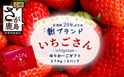 【先行予約】佐賀県鹿島市産　いちごさん　ゆりかーごギフト　B-728