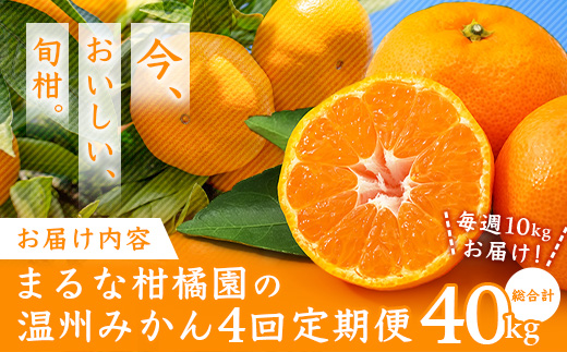 鹿島市産　まるな柑橘園の温州みかん　毎週１回　月４回定期便　F-62