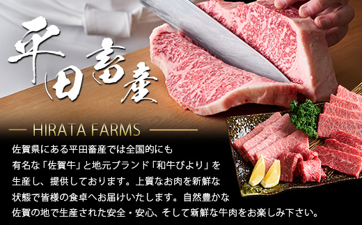 佐賀牛ロースステーキ (約200g) 贈答 プレゼント B-853