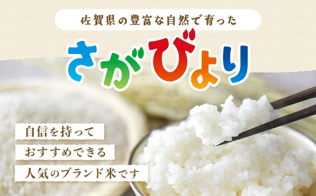 【16年連続 特A評価】さがびより 令和7年産 白米 5kg × 2袋 計10kg 鹿島市産 特A 獲得 米 | ふるさと納税 ふるさと 米 お米 新米 精米 こめ 国産 佐賀県 鹿島市 ふるさと 人気 送料無料 B-167