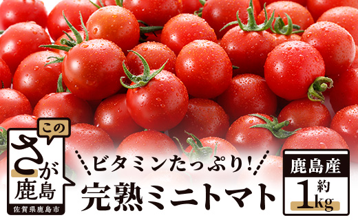 【先行予約】 たにぐちファーム 完熟ミニトマト 約1kg 『Ricotomato とりこになるトマト』 B-324