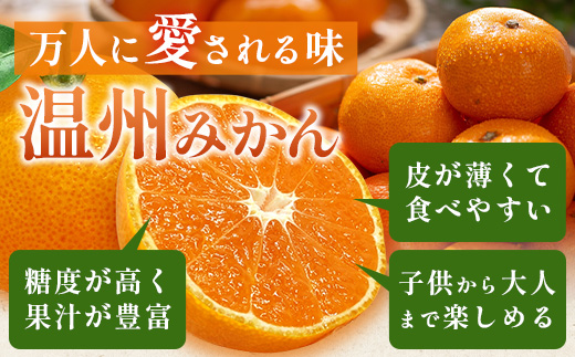 佐賀県産 温州みかん 約11kg（2L～3L混載）大玉みかん【11月下旬～1月上旬ごろ配送】B-802