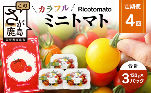 【4回定期便】【先行予約】 カラフルミニトマト 【少量パック】 120gx3p　たにぐちファーム カラフルミニトマト 360g とりこになるトマト 野菜 とまと トマト リコピン 佐賀産 佐賀県 鹿島市　E-159
