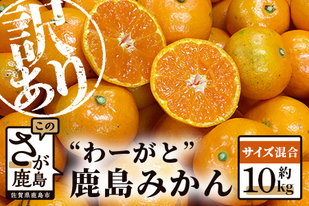 【先行予約】（2026年11月上旬～発送）”わーがと”鹿島産がばい訳アリみかん 約10kg【サイズ混合】【期日指定不可】 みかん ミカン 蜜柑 柑橘 果物 フルーツ 甘い ふるさと納税 佐賀県 鹿島市 B-890