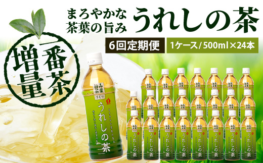 工場直送！うれしの茶 500ml×24本入 《6回 定期便》箱買い セット お茶 飲料 緑茶 飲み切りサイズ うれしの 嬉野茶 ペットボトル 24本入り 500ml ストック ギフト 贈り物 贈答 お中元 お歳暮 季節の変わり目 旬 備蓄 備え 佐賀県 鹿島市 J-35