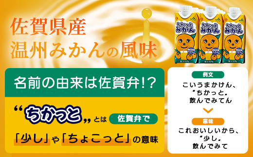 工場直送！佐賀県産温州みかん使用 《ちかっとみかん》 330ml×12 計3960ml みかん フルーツ 果物 飲料 佐賀県産 オレンジ ミカン 温州みかん 柑橘 国産 人気 おやつ 朝食 送料無料 佐賀県 鹿島市 B-908
