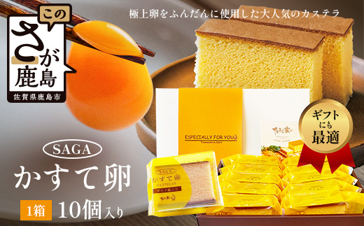 たまご家のカステラ　さがかすて卵ギフト 10個入りセット【個包装で嬉しい】ふるさと納税 カステラ 個包装 濃厚 こだわり卵 お中元 お歳暮 内祝い 贈答 贈り物 鹿島市B-906