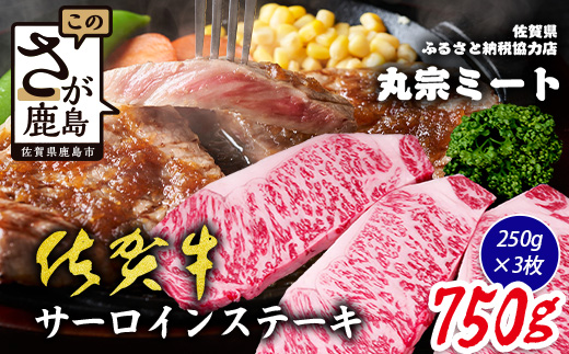 佐賀牛 サーロインステーキ 250g×3枚 計750g ブランド牛 ステーキ 精肉 D-298