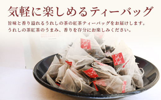 佐賀県産 うれしの茶 紅茶 ティーバッグ（合計60袋）美味しいお茶を贈り物に ご自宅用にもおススメ B-801