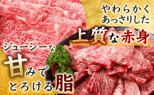 【まだ間に合う 年内配送】佐賀牛 ロース （薄切り・焼肉）セット 各400g 合計800g F-73 牛肉 牛 肉 やきにく 焼き肉 しゃぶしゃぶ すき焼き 正月 お正月 大晦日