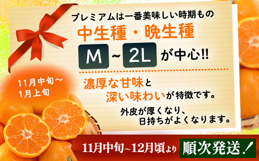 【2026年11月中旬頃～12月頃配送予定】プレミアム黒酢みかん 約5kg (M / Lサイズいずれか ) のし対応 温州みかん B-910