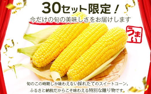 約受付【限定30セット】 スイートコーン （ゴールドラッシュ） 10～12本入 朝採れ とうもろこし トウモロコシ 野菜 糖度17~18℃以上 鹿島市産 佐賀県産 春 夏 旬【2025年6月上旬～順次発送】 B-319