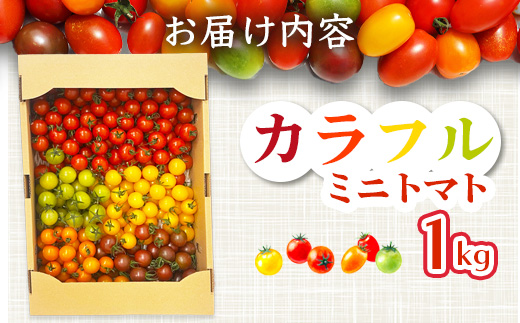 岩氞ããã¡ã®ã«ã©ãã«ããããã çŽ1kgïŒ5è²ïŒãèŸ²ææ°Žç£å€§è£è³åè³ãææ©è¥æã»ååŠè¥æäžäœ¿çšïœçç£è
çŽé éè ãšãŸãš ãµã©ã ãã〠ãåŒåœã«ã å¥åº·å¿å å®å¿å®å
š äººæ° ã1æé ããé
ééå§ãB-823