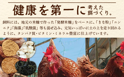 D-117【定期便】佐賀鹿島産 平飼い初卵「うみとやまとこっこ」 上田養鶏場 たまご60個×3回