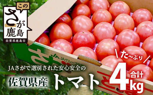 佐賀県農業協同組合 施設トマト部会 佐賀県産トマト約4kg[3月上旬〜5月下旬随時出荷予定] JAトマト