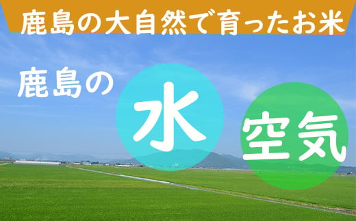 J-3 《6ヶ月定期便》鹿島市産さがびより　白米（毎月１０ｋｇ×６回）