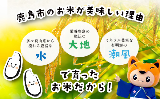 縺イ縺ェ縺溘∪繧10kg(5kgテ2)逋ス邀ウス懃音蛻・譬ス蝓ケ邀ウ縲舌イ縺ェ縺溘∪繧 莉、蜥7蟷エ隱慕函 譁ー繝悶Λ繝ウ繝臥アウ縲代千函逕」閠逶エ騾√大ケク縺帙→隨鷹。斐r螻翫¢繧句豌」縺ョ縺顔アウス應ス占ウ逵檎音蛻・譬ス蝓ケ霎イ逕」迚ゥス懷喧蟄ヲ霎イ阮ャ繝サ蛹門ュヲ閧・譁吩ク堺スソ逕ィス懈眠邀ウ 邊セ邀ウ 譛画ゥ溯ぇ譁 菴占ウ逵 鮖ソ蟲カ蟶 E-176