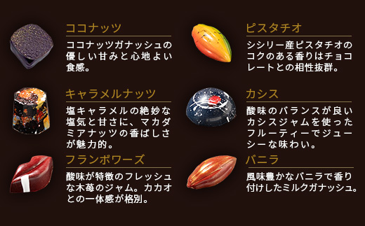 【匠の技】菓子工房 ひのでや てづくり ショコラ 10個 詰め合わせセット【シェフのこだわりと技術が詰まったチョコレート】B-561