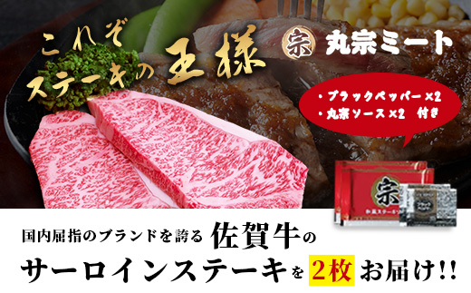 佐賀牛 サーロインステーキ 250g×2枚 ブランド牛 精肉 ステーキ C-200