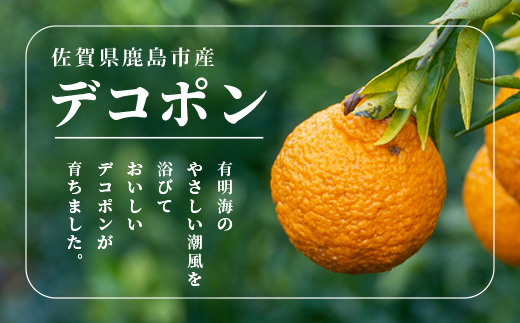 äºçŽåä» åºæºã¯ãªã¢ã®é«çŽææ©ããã³ãã³ãçŽ5kg äžç¥ç« ããã¬ã ã§ããœã ã¿ãã èæ ãã«ã³ ãªã¬ã³ãž ææ© ãã«ãŒã æç© èŽãç© èŽç ãã¬ãŒã³ã é«çŽ ãã©ã³ã éå® ã®ãã B-672