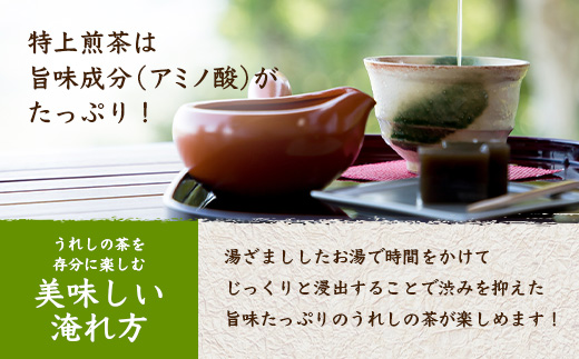 うれしの茶 特上煎茶「金」 90g × 1本（リーフ）A-199 茶葉 煎茶 緑茶 日本茶 佐賀