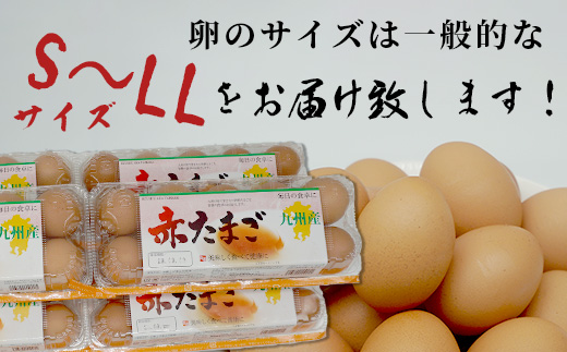 【鹿島市産のたまご】肥前のおいしい赤たまご　６０個（５５個＋破損補償５個入り）　B-711　佐賀県鹿島市