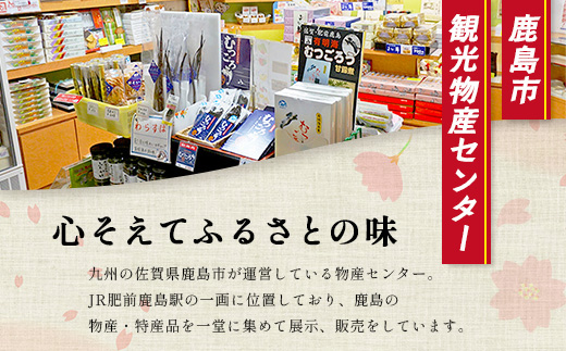 稲荷ようかん 10本入り ようかん 羊羹 和菓子 お菓子 特産品 お土産 ご当地 祐徳稲荷神社 名物 佐賀県 鹿島市 送料無料 一口サイズ スイーツ グルメ 和スイーツ 老舗 大人気 オススメ 美味しい リピーター 真心 小豆 B-29