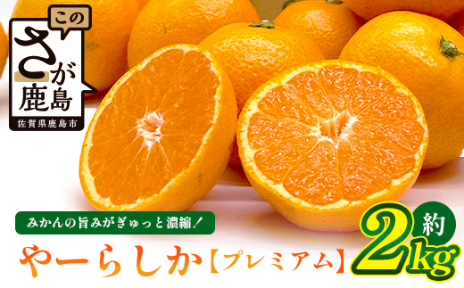 【先行予約】【発送は2026年10月中旬から11月上旬ごろ】やーらしかみかん”プレミアム”約2kg（箱込み重量）｜【数量限定】小粒サイズ ご家庭用｜一口で食べられる濃縮旨み ｜生産者直送 国産 佐賀県産 ミカン 蜜柑 果物 フルーツ 送料無料 A-224