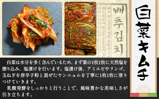 熟成発酵無添加キムチ詰め合わせセット（白菜キムチ　れんこんキムチ　さきいかキムチ）C-158