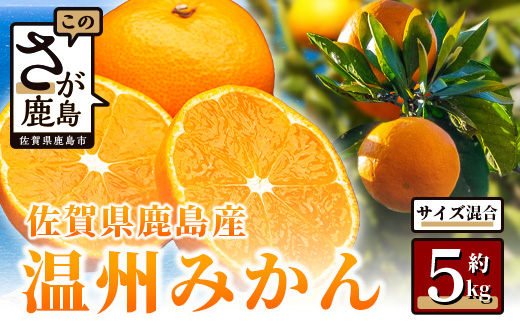 みかん 約5kg 佐賀県鹿島産 温州みかん サイズ混合 | 《先行受付11月上旬より発送予定》みかん ミカン 甘い 小玉含む フルーツ 果物 果実 くだもの 蜜柑 柑橘 国産 冬季 大容量 家庭用 贈答 お取り寄せ 佐賀県 鹿島市 A-190