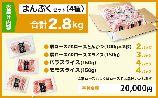 豚肉 小分け SPFプレミアムポーク 芳寿豚 まんぷくセット 計2.8kg 佐賀県 鹿島市 D-62