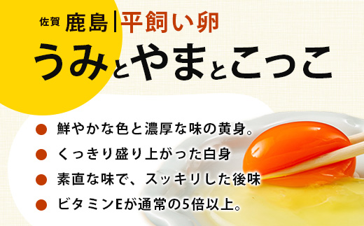 【定期便 6回】平飼い卵「うみとやまとこっこ」上田養鶏場 たまご20個 × 6ヶ月【合計120個】佐賀県鹿島産 卵 タマゴ E-129