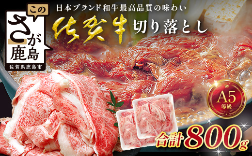 [訳あり]佐賀牛 切り落とし 800g 牛肉 切り落とし肉 ブランド牛 訳アリ