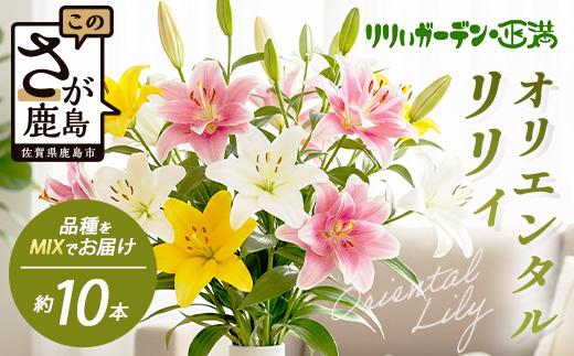 【生産者直送】【幸せと笑顔を届けるオリエンタルリリィ（約5本）】ユリ 百合 花 切り花 フラワー 艶やか 美しい 華やか 可憐 鮮やか 長持ち 強い 有機肥料 自然 人気 ラッピング プレゼント 贈り物 贈答 佐賀県 鹿島市 送料無料 D-278