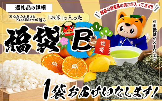 あなたのふるさとKashiMartが贈る「お米」の入った福袋B D-282 新年 年末 お正月 年始 佐賀 鹿島 九州 米 こめ コメ 精米 海苔 みかん レモン