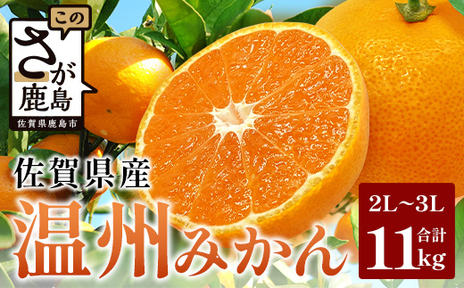 佐賀県産 温州みかん 約11kg（2L～3L混載）大玉みかん【11月下旬～1月上旬ごろ配送】B-802