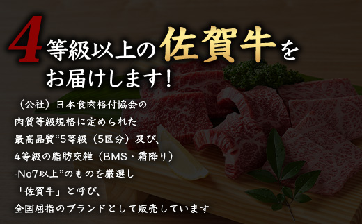 佐賀牛 焼肉セット 600g BBQ バーベキュー 焼き肉 バラ モモ D-191