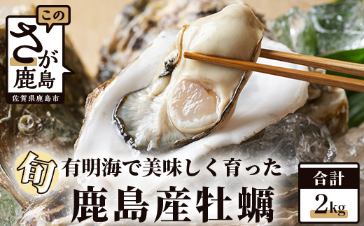 鹿島産 牡蠣 約2kg(殻付き)【加熱調理用】品種(スミノエ)B-559