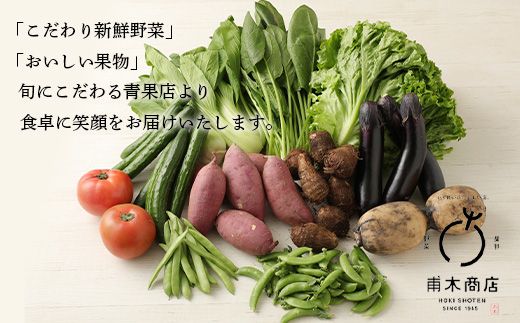 E-72 【６ヶ月お届け】旬のおまかせ野菜BOX定期便