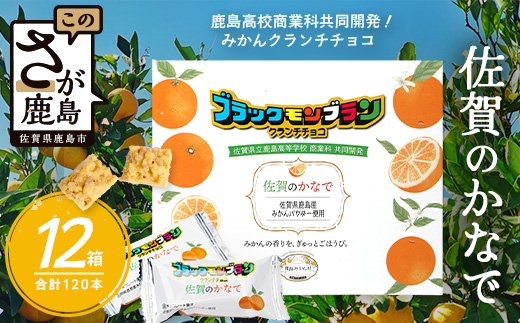 【鹿島高校 商業科 共同開発】みかん クランチチョコ 佐賀のかなで 鹿島産みかんパウダー使用 12箱（10本入×12箱）佐賀 鹿島 チョコレート ご当地スイーツ H-54
