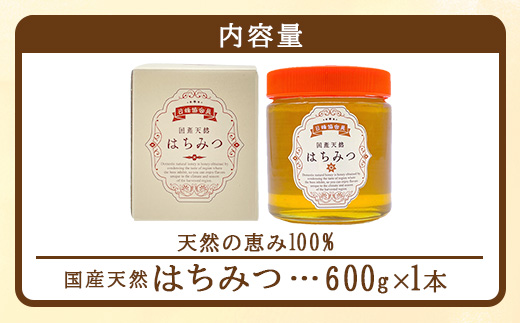 鹿島市産 天然の恵み 100% はちみつ 600g 化粧箱入 B-806 ハチミツ 蜂蜜 ハニー 天然はちみつ 天然蜂蜜 国産